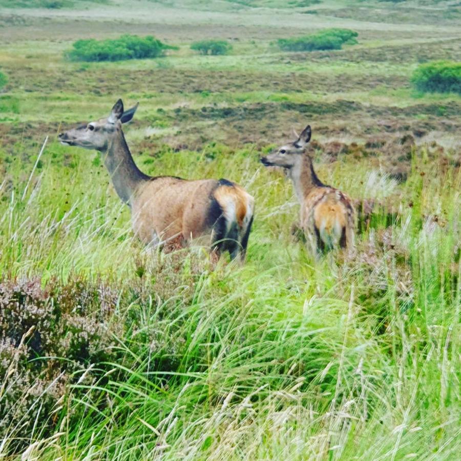 Deer Green Place Villa Kinloch Bagian luar foto